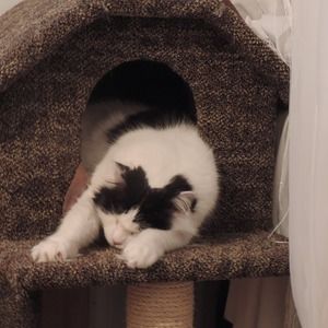 Meet your Posher, Sandra